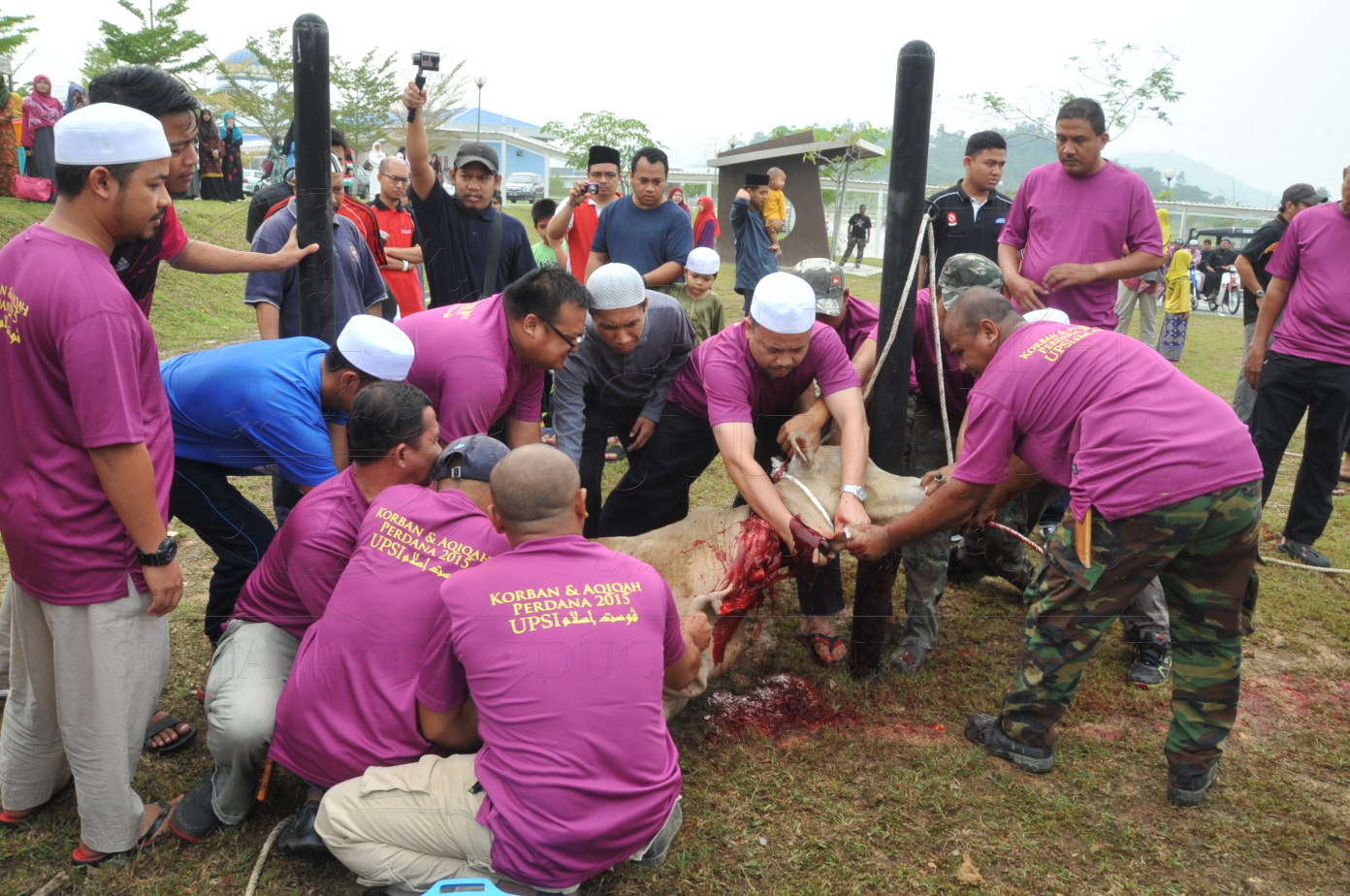 PRO15 150 KORBAN HAS 6713